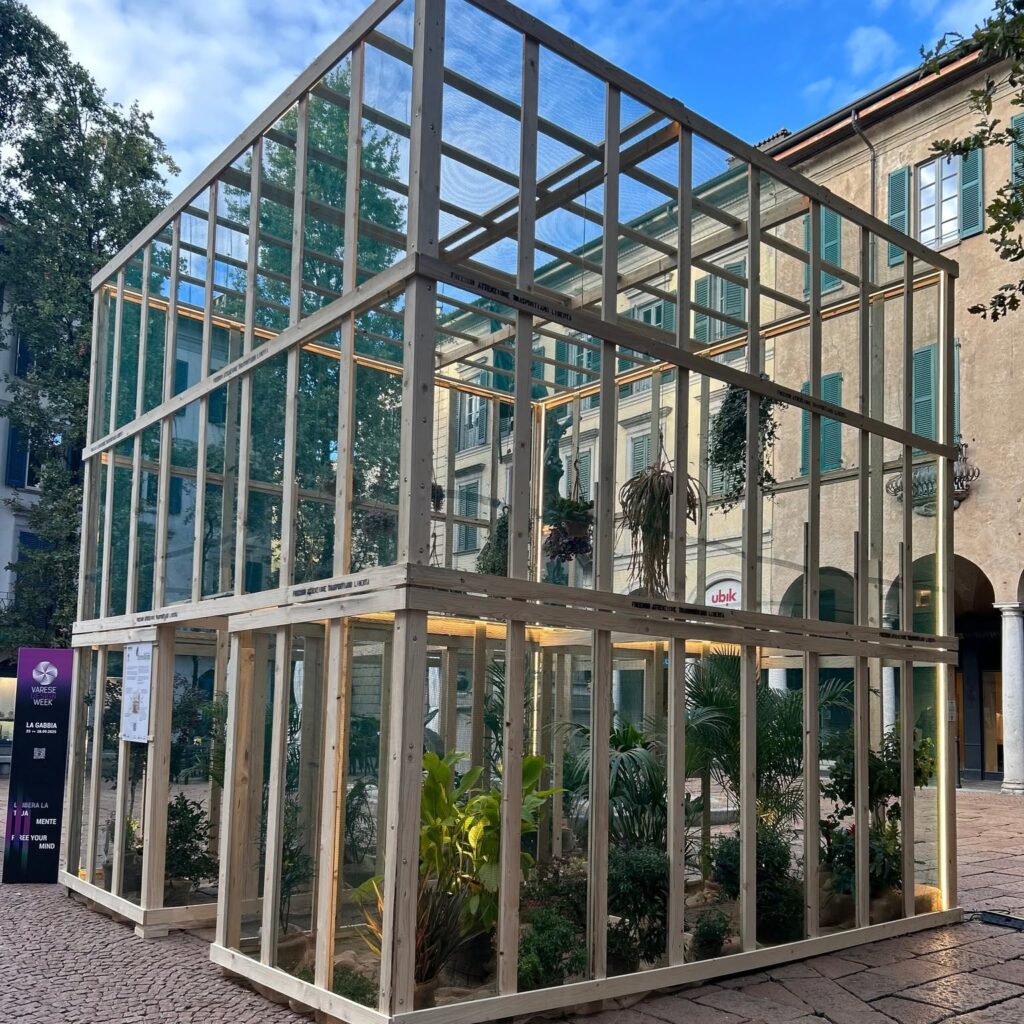 la gabbia 3